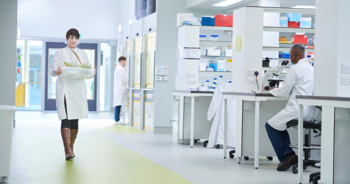 Chemical Engineers Career Ready Monroe