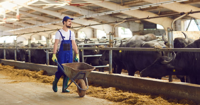 animal-caretaker-farm